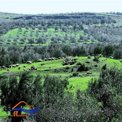 روستای كلشتر