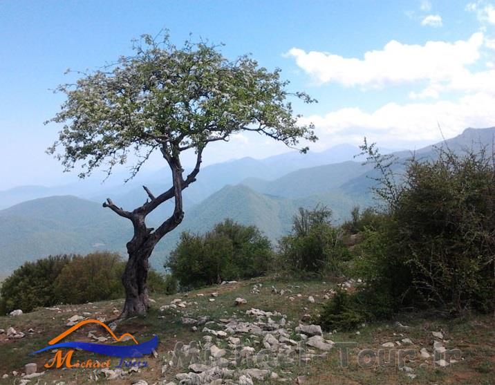 طبیعت سردانسر طبیعت سردانسر