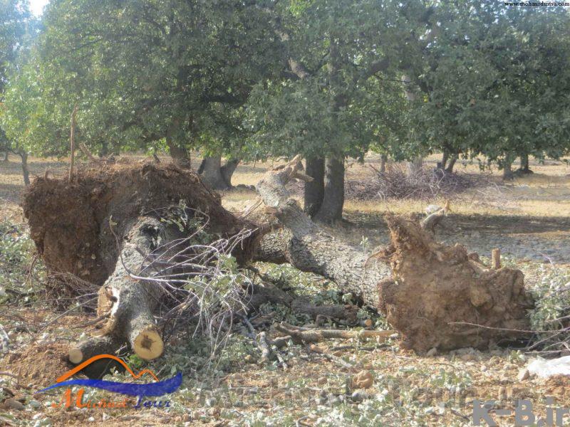 روستای ده برآفتاب
