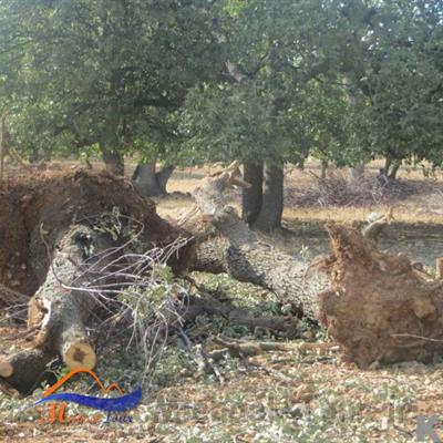 روستای ده برآفتاب