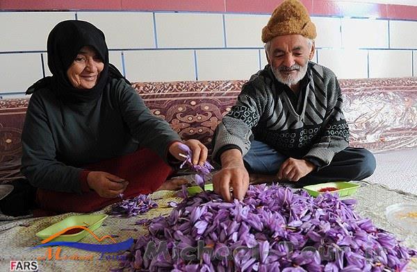 روستای وامنان روستای وامنان