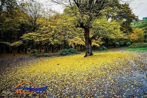 پارک جنگلی النگدره بهشت پاییزی گرگان