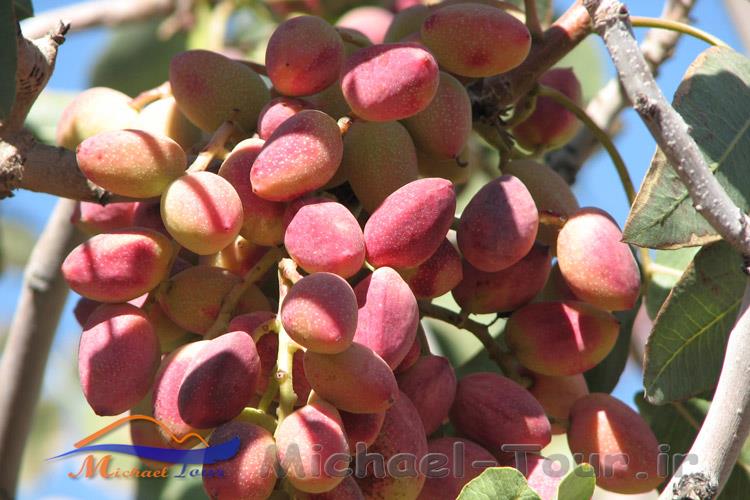 آنچه درباره کرمان باید بدانیم