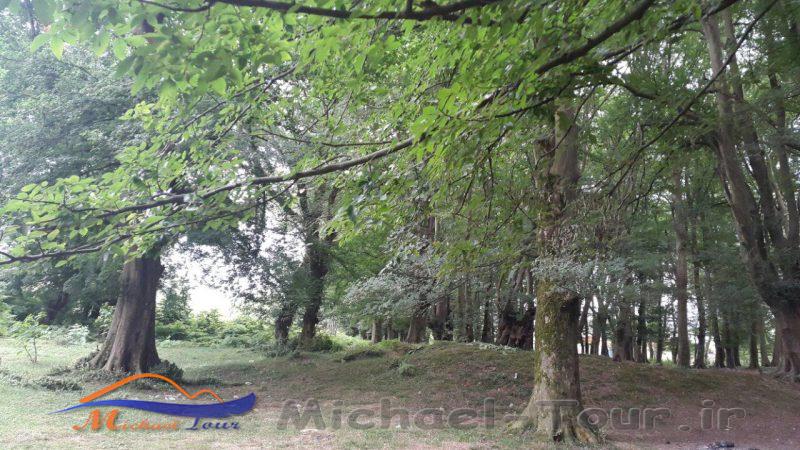 پارک جنگلی روستای اشبلا بندر انزلی