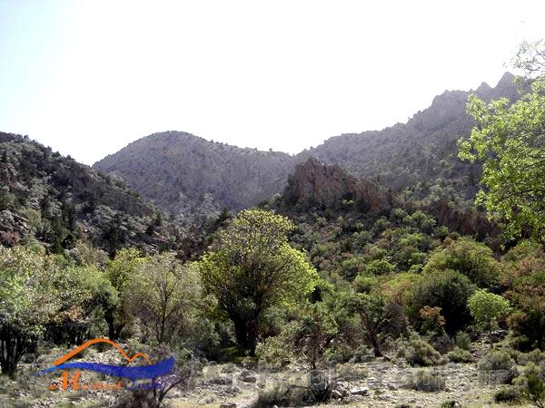 پارک ملی خبر پارک ملی خبر