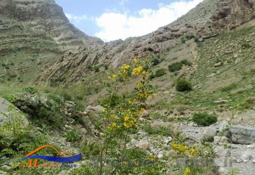 طبیعت اسفجیر طبیعت اسفجیر