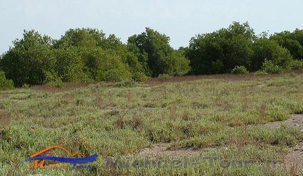 منطقه حفاظت شده حله منطقه حفاظت شده حله