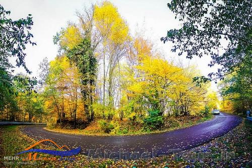 پارک جنگلی النگدره بهشت پاییزی گرگان