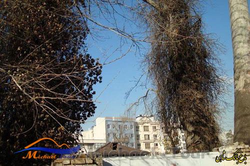 خانه باغ کیانیان تهران
