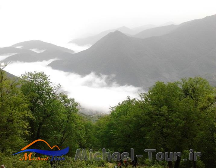 طبیعت سردانسر طبیعت سردانسر