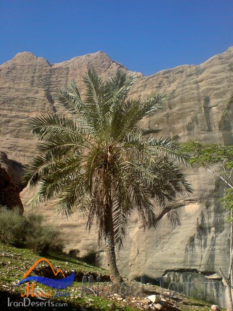 منطقه شکار ممنوع هفت تنان