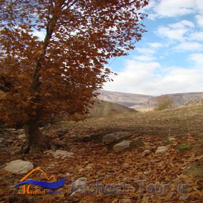 روستای بسطام