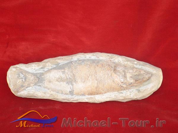 موزه برادران امیدوار سعدآباد موزه برادران امیدوار سعدآباد