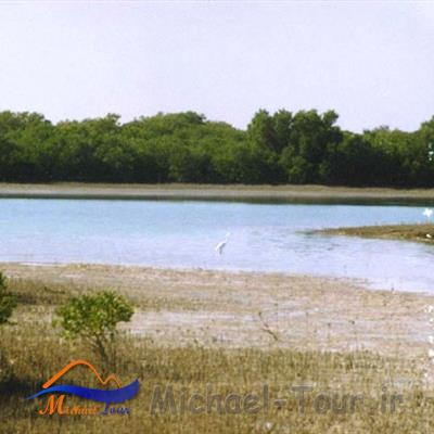 منطقه حفاظت شده حله