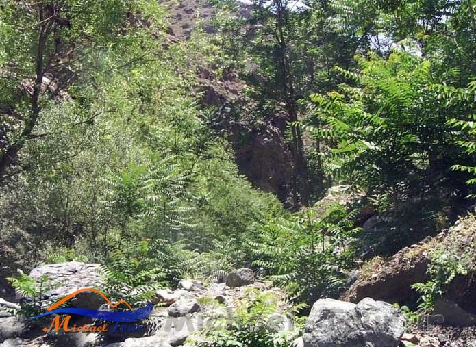 دره دارآباد دره دارآباد