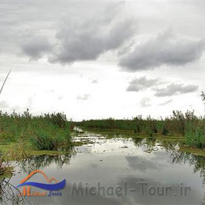 رودخانه شاخزر