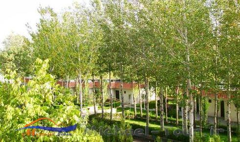 مهمانسرای جهانگردی زنجان