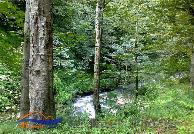 آبگرم فلکده