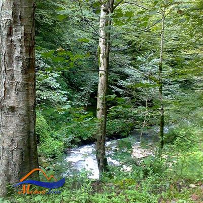 آبگرم فلکده