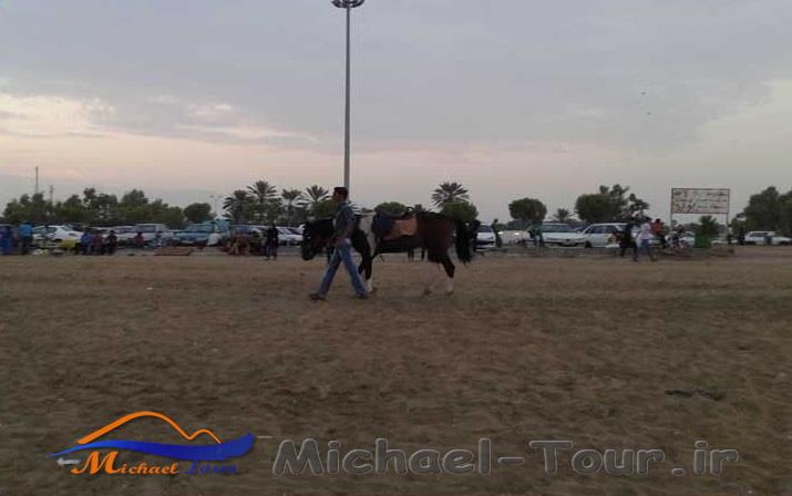 بوستان ورزش بندرعباس