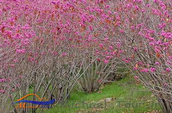 پارک سرخه حصار
