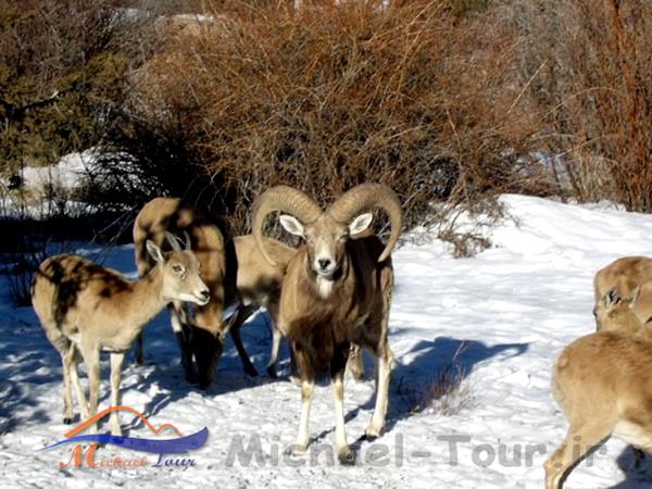 پارک ملی خبر پارک ملی خبر