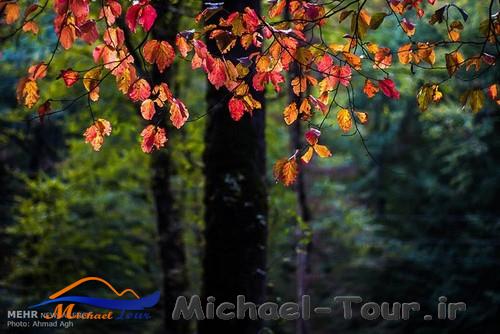 پارک جنگلی النگدره بهشت پاییزی گرگان