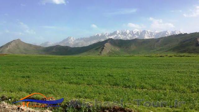 قالی کوه یا غالیه کوه