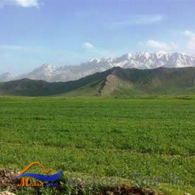 قالی کوه یا غالیه کوه