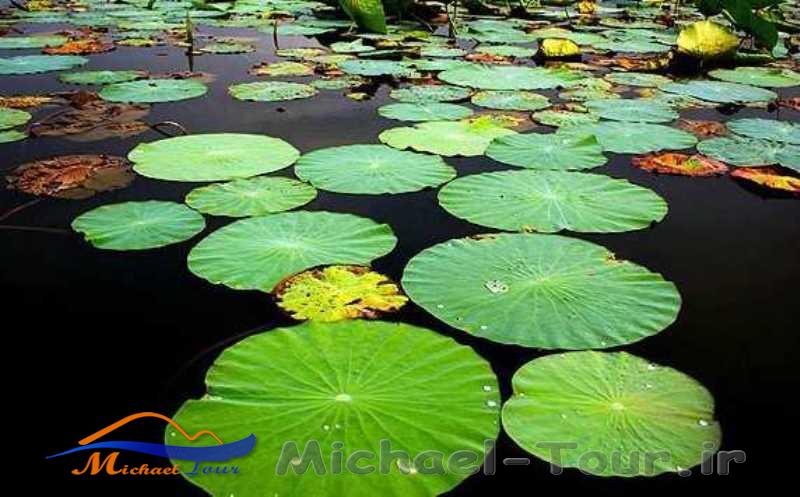 جاهای دیدنی ساری در بهار
