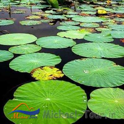 جاهای دیدنی ساری در بهار