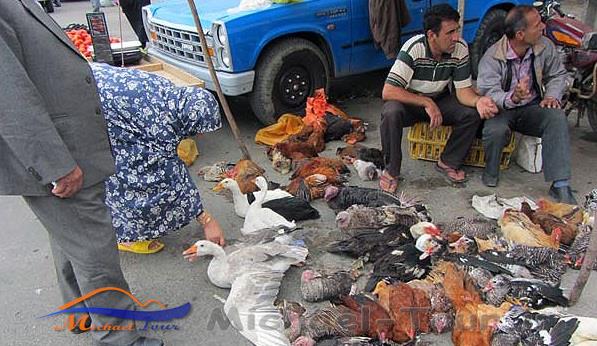 بازار هفتگی هشتپر