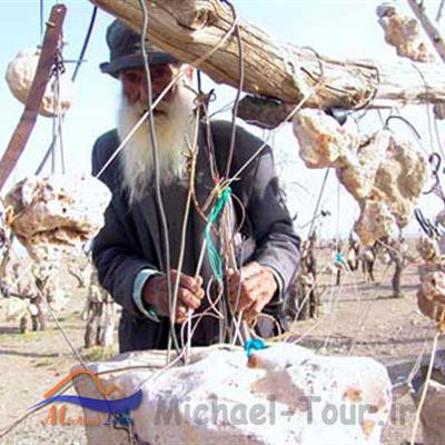 باغ سنگی