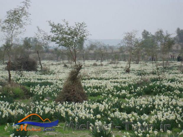 روستای باغدشت کازرون