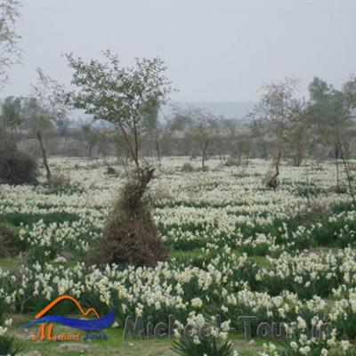 روستای باغدشت کازرون