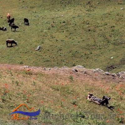 ییلاق شکردشت