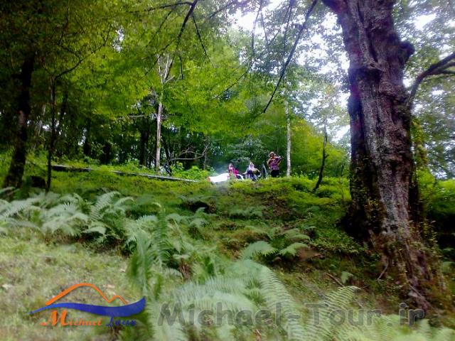 آبگرم فلکده