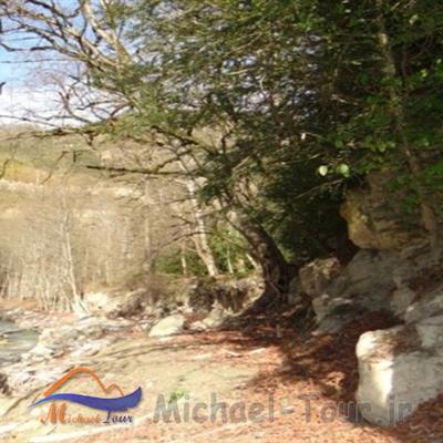 جنگل گلندرود