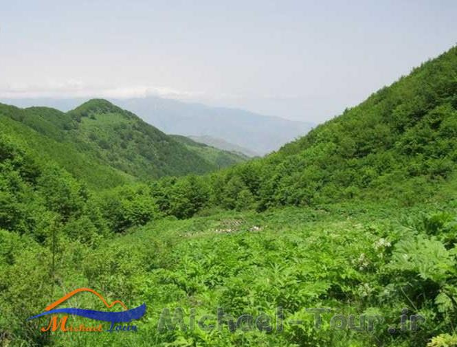 منطقه دیزمار منطقه دیزمار