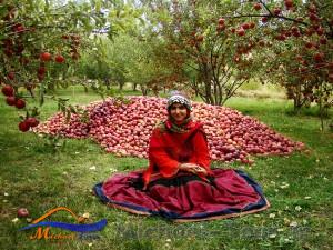 روستای چهل حصار روستای چهل حصار