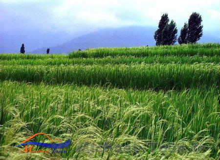 خشکبیجار خشکبیجار