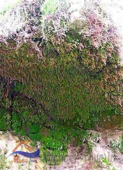 آبشار قطره باران آبشار قطره باران