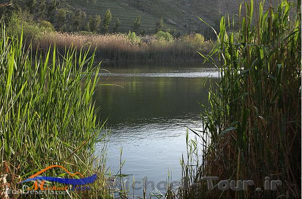 منطقه شکارممنوع تالابهای پلدختر