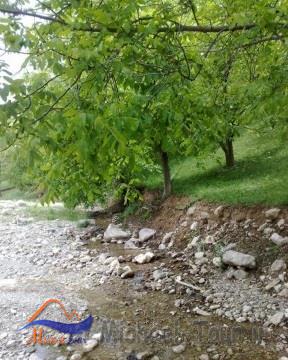 طبیعت اسفجیر طبیعت اسفجیر