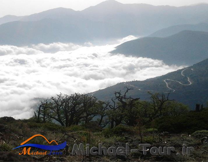 طبیعت سردانسر طبیعت سردانسر