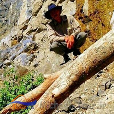 روستای زرگر ، روستای ایرانی اروپایی !
