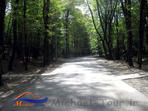 پارک جنگلی النگدره بهشت پاییزی گرگان