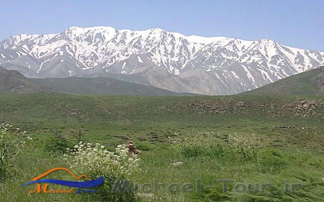 قالی کوه یا غالیه کوه