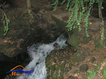 چشمه دمکش
