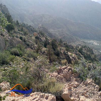 منطقه حفاظت شده کوه باز